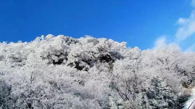 雷火官方网站入口