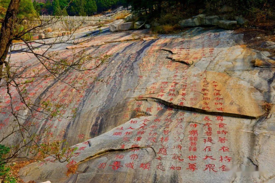 探索怎么样才能彻底的忘记一个人?星球,解锁无限知识宇宙